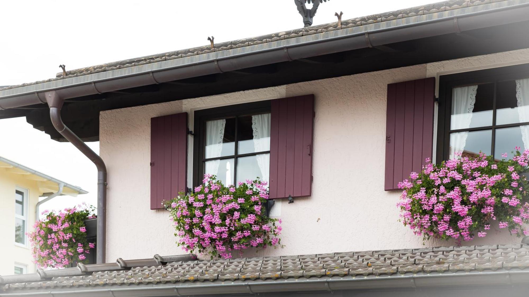 Gaestehaus Sattlerhof Bernau am Chiemsee Bagian luar foto